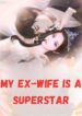 My Ex-Wife is a Superstar